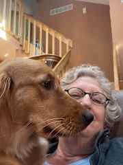 Sadie showing the upstairs where she is not allowed to go. She is a downstairs dog! She is limited to the solarium, living room, kitchen, and dining room. She is not allowed in the office!