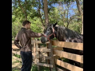 and then petting a horse at an animal retreat.