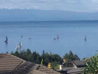 Watching the sail boat regatta every Wednesday afternoon