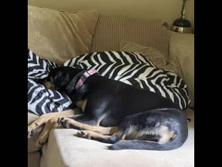 Nap time