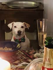 Daizy Christmas 2023