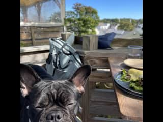 Having brunch atop a garden with outdoor seating in Mystic, CT.