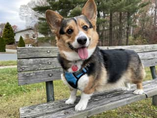 Henry is such a happy boy! He loves to smile.