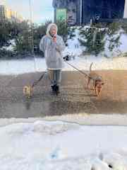 Allisun walking Tito & Timmy