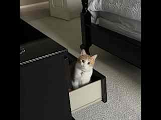Any open drawer must be checked