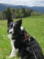 Weinebene, the mountain behind our house