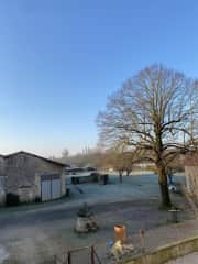 View over the garden from the bedroom window