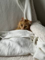 A very spoilt boy!