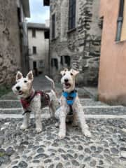 We Love to travel with mom and dad