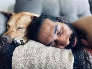 We foster Cassie after she was surrendered by his owner but she found her happy place with Andres!