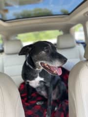 And trips in the car.