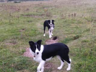 Lilly with Duke background