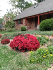 Front of home in a year when the mums were happy.