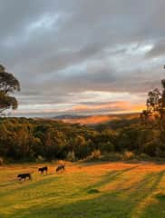 View from the house