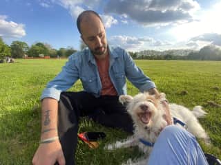 Puppy in London