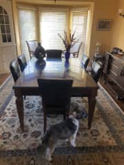 Dining Room with Buddy in foreground