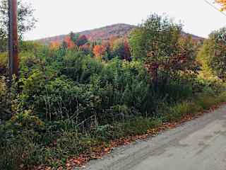 Our dead end road in the Fall. Biking paradise