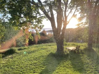 Lawn chairs to relax on a warm spring day, fire pit in the back