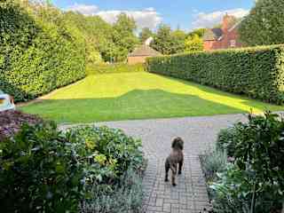 Our front garden and drive