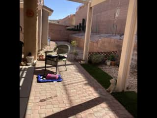 Patio in backyard.