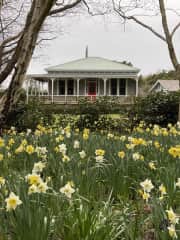 Front garden