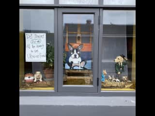 The painting, in our front window, is of a dog that was sold to raise funds of the Ukraine fund