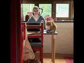 Pet sitting in the Italian Alps