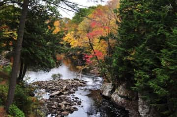 You can access a riverside walking trail just across the street from us