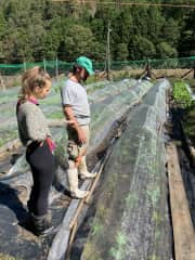 Farm work in Kyoto, Japan.