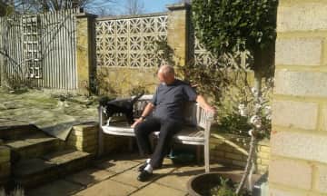 Black Cat in the UK sunning with gary