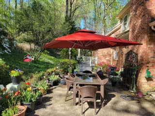 The back yard - surrounded by deer fence to keep the flowers safe!