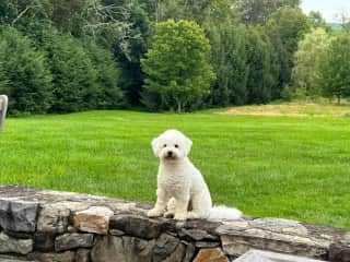 Suzie likes posing on high points so that she has a better view