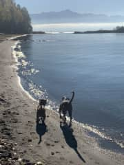 Beautiful beach a 5 minute drive or bus ride away...