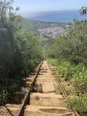 Koko Head Crater trail in our back yard. About 1,000 steps to a fantastic view!