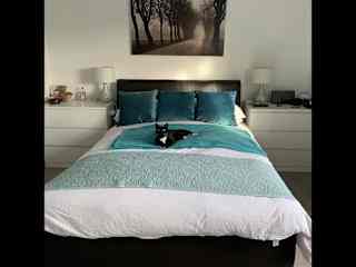 Our bedroom during the night and Loulou's during the day!