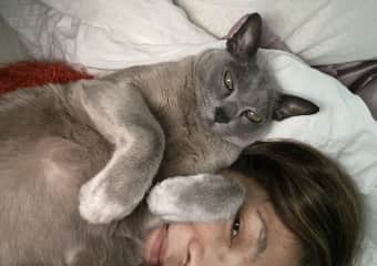 Me and Pinot, my first Burmese . A cosy selfie chilling out in bed.