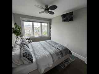 Guest room also includes a small TV and a ceiling fan.