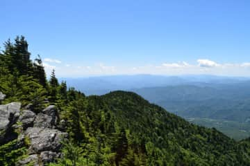 Escape from the heat! The mountains are calling you as well as our basset hounds!