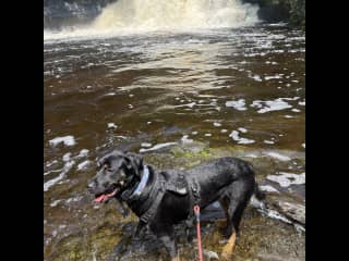 Loves water!!!