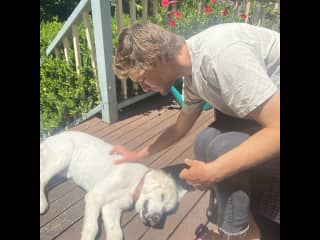 Hugo patting Zoe’s golden retriever, Holly!