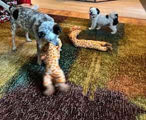 Play time-who needs eyes!?!