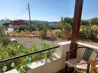 Outside terrace with olive grove in front of the apartment