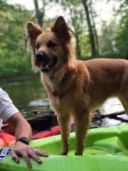 May kayaking on the river