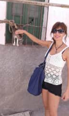 GRANADA
Cats in the street, they greet me... and I pet them... :)