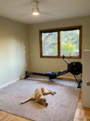 Workout room