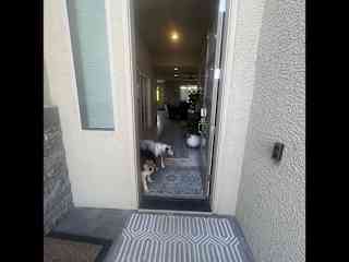 Front door "greeters"