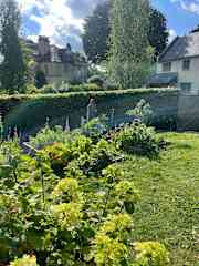 Veggie plot