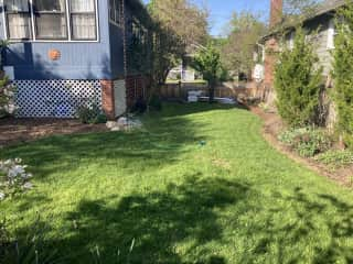 Large grass area in backyard(taken in early spring before everything is in full bloom- much more green and flower filled in summer and this was taken when some yard projects were underway- will be more cleaned up by summer)