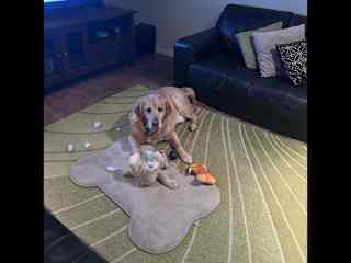 It wasn’t me