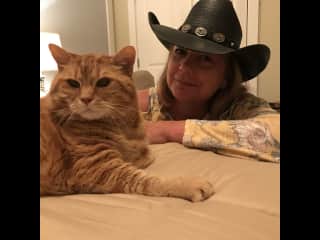 Samson, our very famous orange cat! He was one mellow yellow animal. A true emotional security ball of fur.